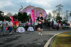 BIB: 
                            <button type="button" onclick="openModal(26529362)" class="btn btn-primary btn-sm float-right btn-popup" data-toggle="modal" data-target=".modal-high-quality">
                        <i class="fas fa-shopping-cart"></i> Add to Cart
                    </button>
                                            <button type="button" onclick="isThisMe(26529362, true)" class="btn btn-success btn-sm float-right btn-popup btn-isme hidden" data-toggle="tooltip" data-placement="bottom" title="นี่คือรูปของคุณใช่ไหม คลิกที่นี่เพื่อเอาเข้าอัลบั้ม">
                        <i class="fas fa-plus"></i> Add to album
                    </button>
                    <button type="button" onclick="isThisMe(26529362, false)" class="btn btn-warning btn-sm float-right btn-popup btn-isnotme hidden">
                        <i class="fas fa-ban"></i> Remove from album
                    </button>